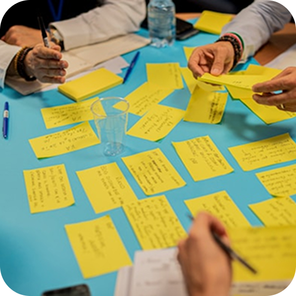 We create tailored learning strategies