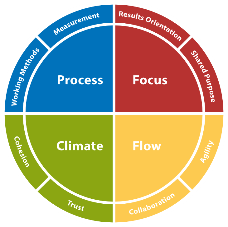 The Insights Team Effectiveness model