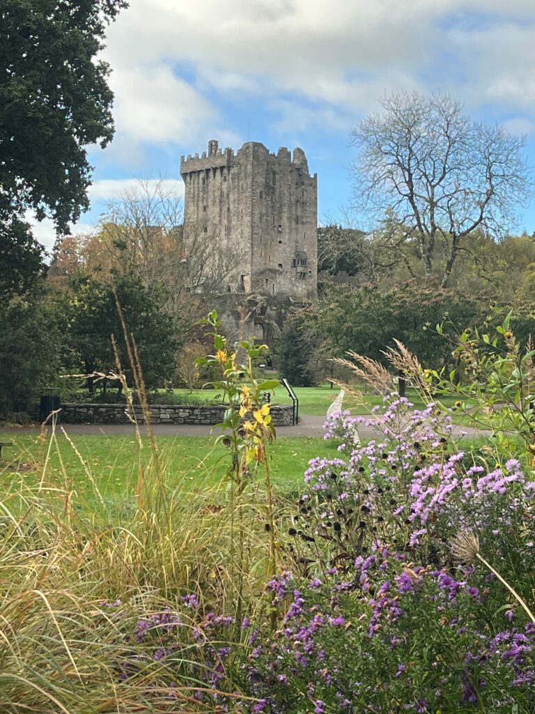Lessons were learned at Blarney Castle